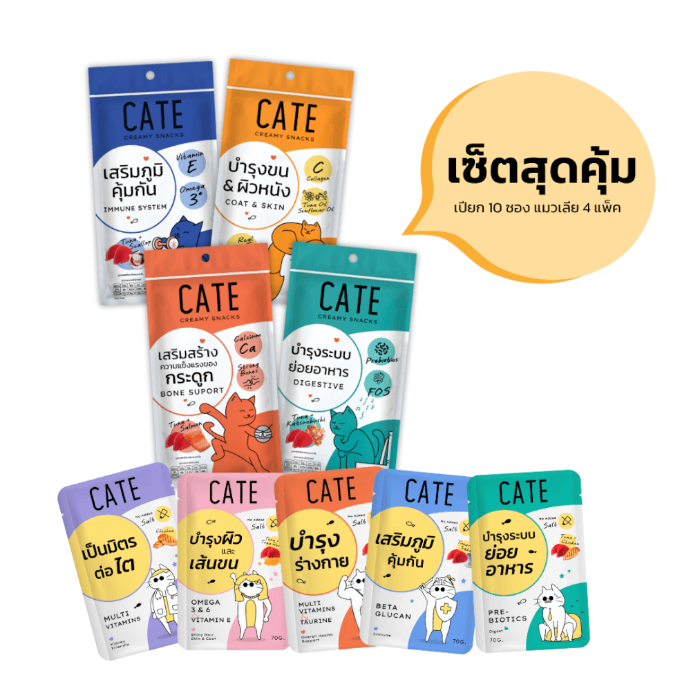 เซ็ตอาหารเปียกแมว CATE และแมวเลีย รวมสูตร 14 ชิ้น (อาหารเปียกแมว 10 ซอง แมวเลีย 4 แพ็ค)_1